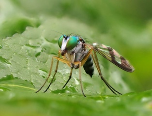 P1286064a.jpg